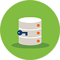 Data Security Suite (DSS)