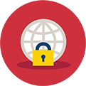 Data Security Suite (DSS)